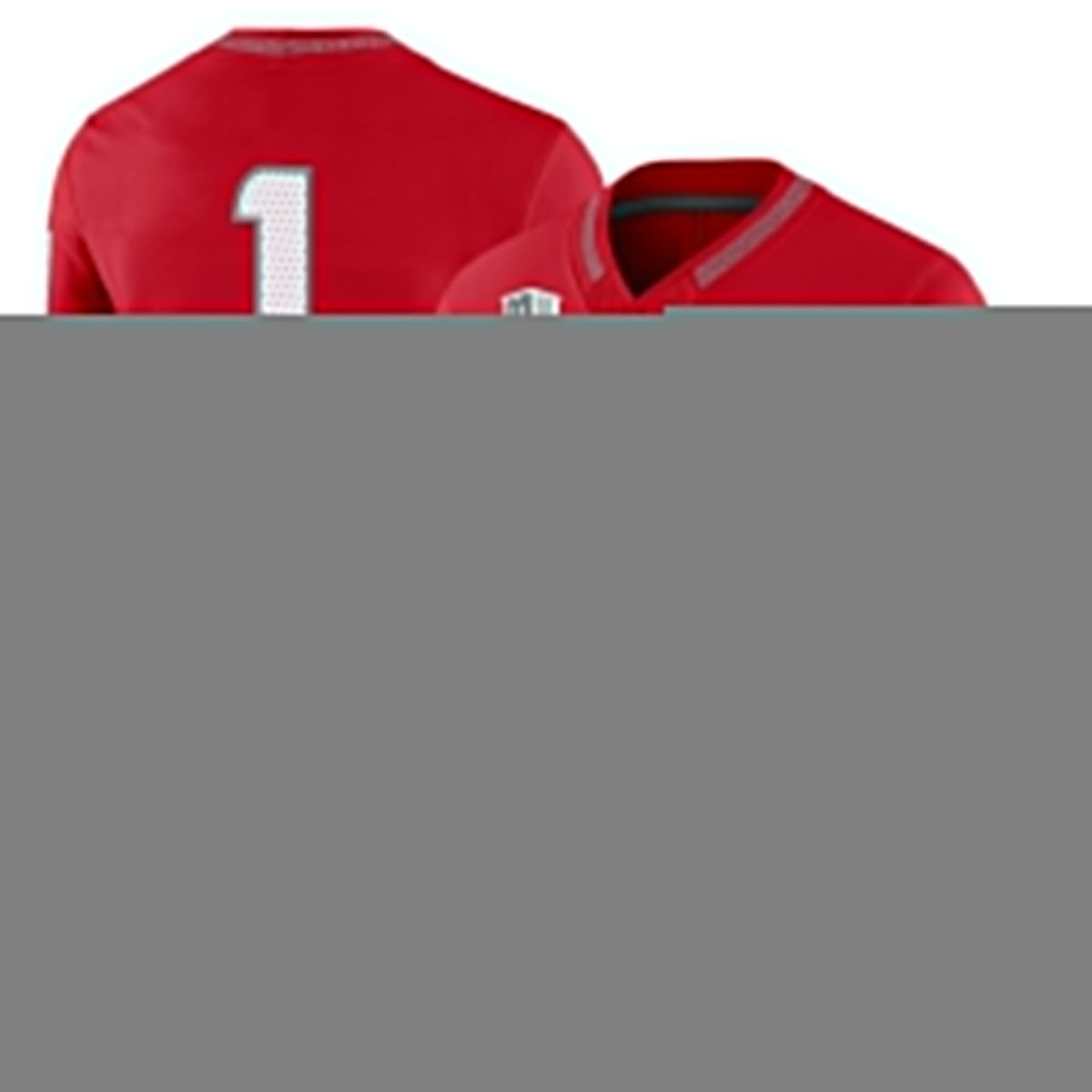 New Mexico Lobos 2025 Vapor Limited Jersey